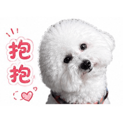 妞妞小公主日記✨