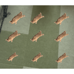 aaa_20260510100436