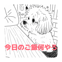 S_20260510101021