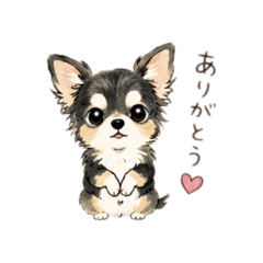 chanSOU_20260510104001