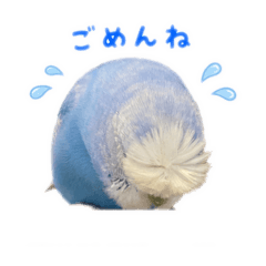 ryo_20260510174303