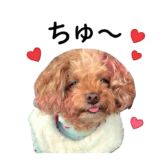 EBIN_20260510165900