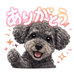 YumaSoraMitsu_20260510