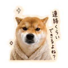 fuchan_20260510175214