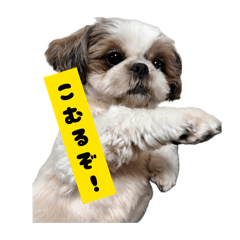 mofumofu_20260510191218