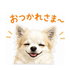 myuntaro_20260510191226