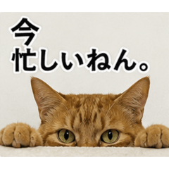 necosamurai_20260510191649