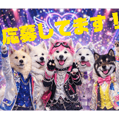 Our Idol Dogs #2