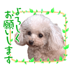 ayachin_20260510111940