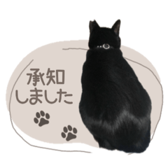 cat.stamp..