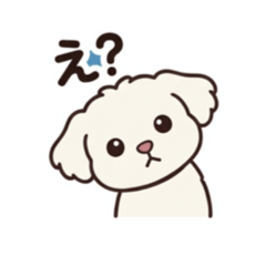 katatomo_20260510183738