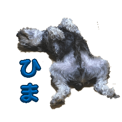 penchan_20260510183636