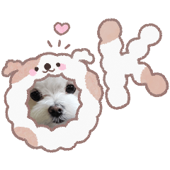 komumu_20260510183122