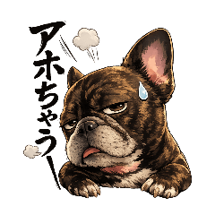 maru.stamp_20260510191752