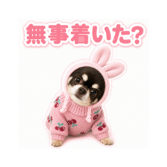 iku_20260510192454