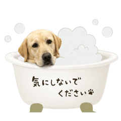 Tomo_20260510190649