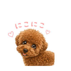hina_20260510201225