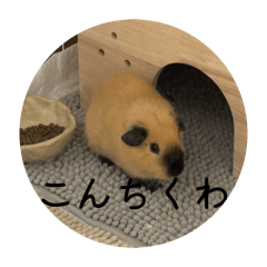 Satsumi_20260510201046