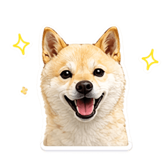 Matsuoka_20260510201626
