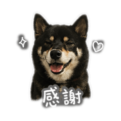 歐給問候圖