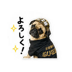 BUBU_20260510185802
