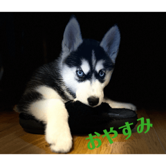 amooon_20260510114817