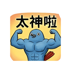 鉛色水鶇的生存哲學