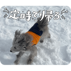 nosakazu_20260510194301