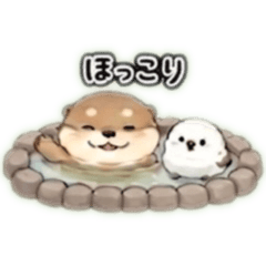 kawauso &shimaenaga