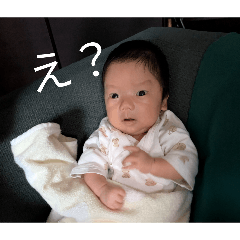 aototo_20260510194356