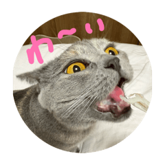 Pikuxiao 5