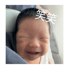 aototo_20260510194816