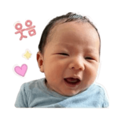 Matthew 11 days