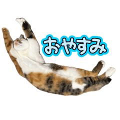 mita_20260510202624