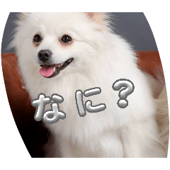 shinogonn_20260510202900