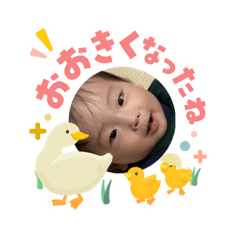 aki_20260510202938