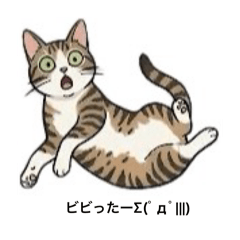 kotetu_20260510122135