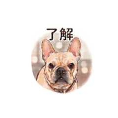 Onigiri_20260510122048