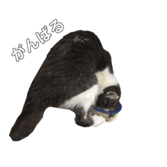 m_20260510123023