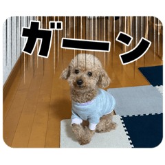 Choco stamp 3