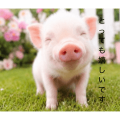 Emmy_20260510124805