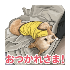 bun_20260510124828