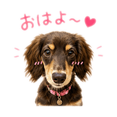 HANAHINA_20260510130010