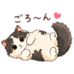 Sugano Misaki_20260510130302