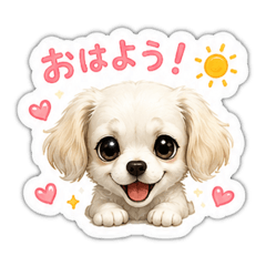 Joy_20260510130130