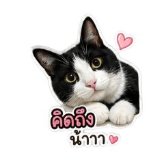 Patcharin_20260428164052