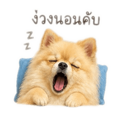 Casperkubpom