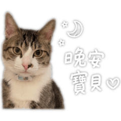 林多多的一天