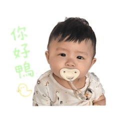 日常甫甫