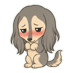 Saluki Dusty 1